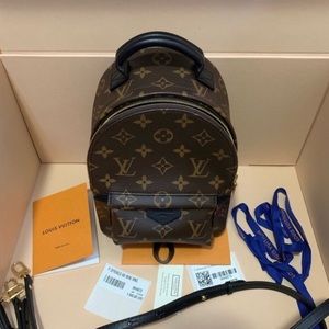 Louis Vuitton Monogram Palm Springs Mini